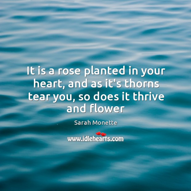 It is a rose planted in your heart, and as it’s thorns Sarah Monette Picture Quote