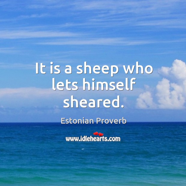 It is a sheep who lets himself sheared. Estonian Proverbs Image