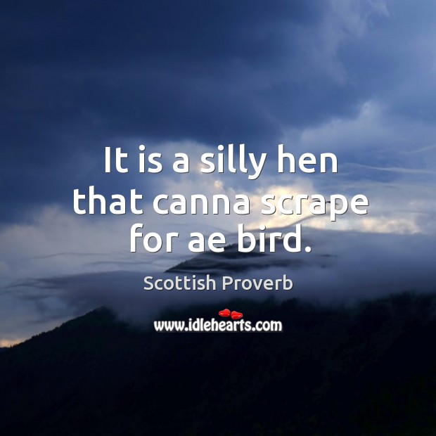 It is a silly hen that canna scrape for ae bird. Image