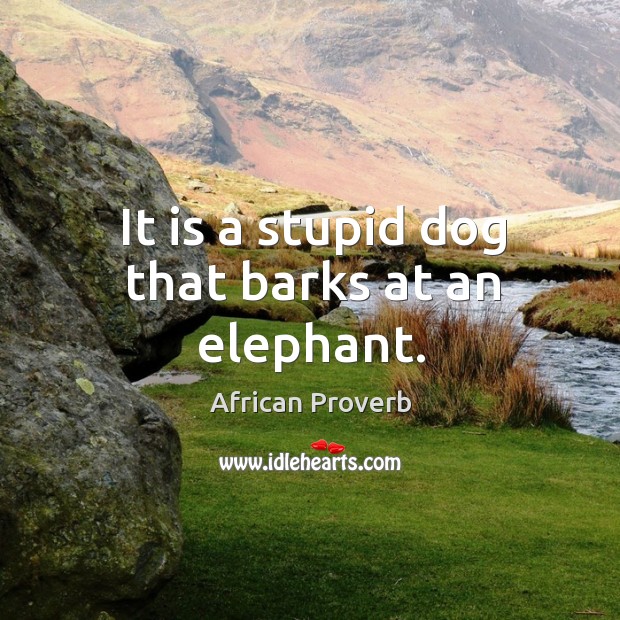 It is a stupid dog that barks at an elephant. Image