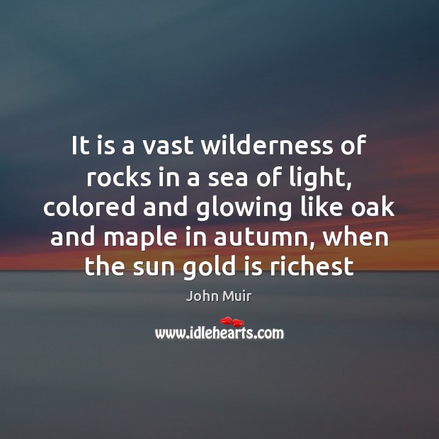 It is a vast wilderness of rocks in a sea of light, John Muir Picture Quote