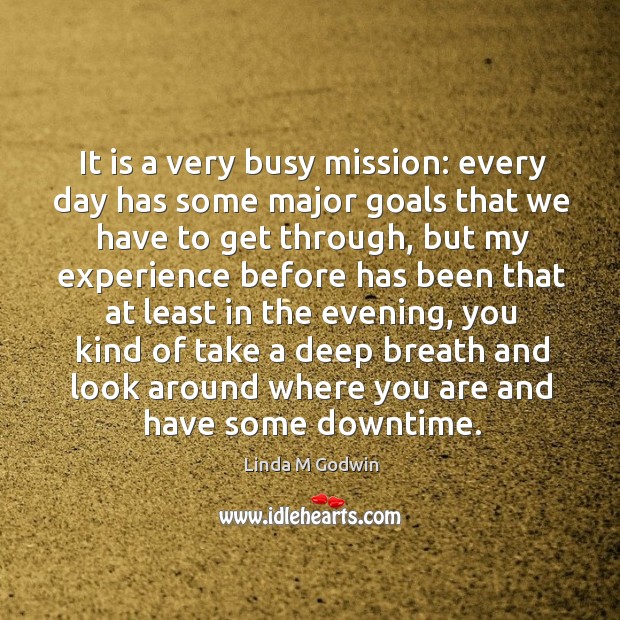 It is a very busy mission: every day has some major goals that we have to get through Linda M Godwin Picture Quote
