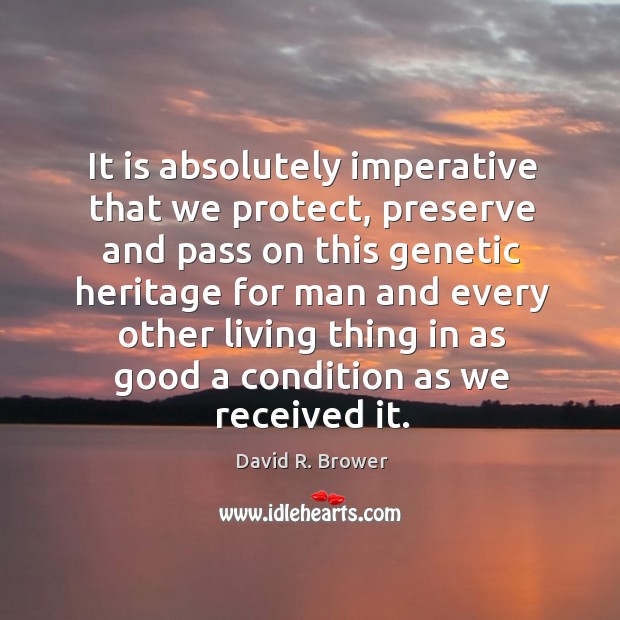 It is absolutely imperative that we protect, preserve and pass on this David R. Brower Picture Quote