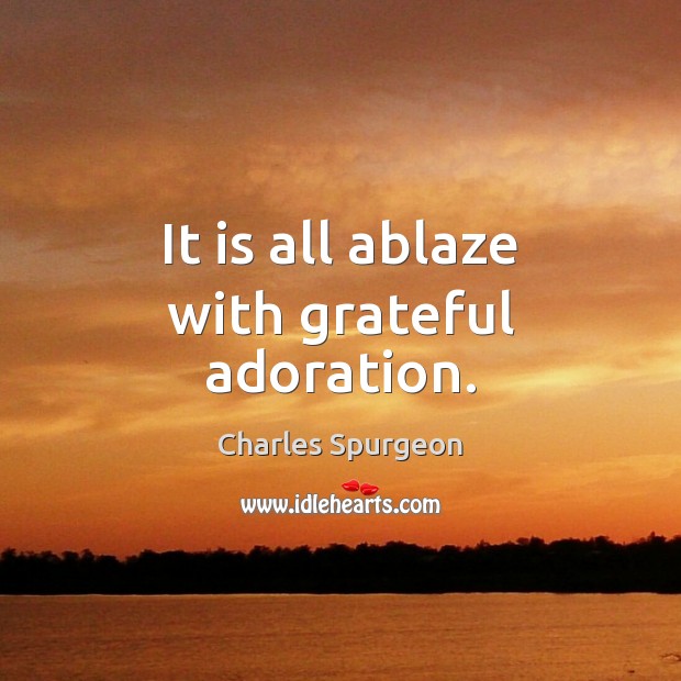 It is all ablaze with grateful adoration. Image