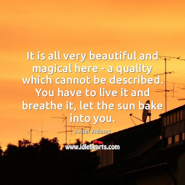 It is all very beautiful and magical here – a quality which Ansel Adams Picture Quote