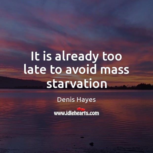 It is already too late to avoid mass starvation Denis Hayes Picture Quote
