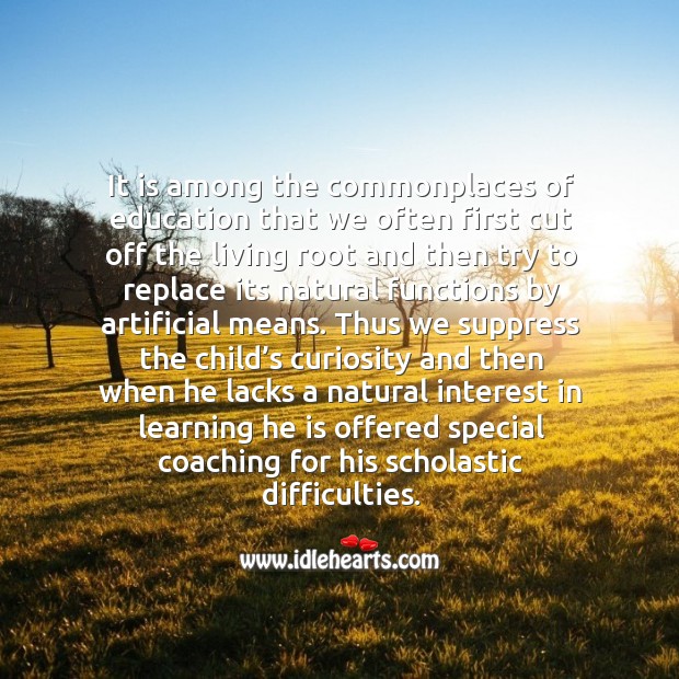 It is among the commonplaces of education that we often first cut off the living root and Image
