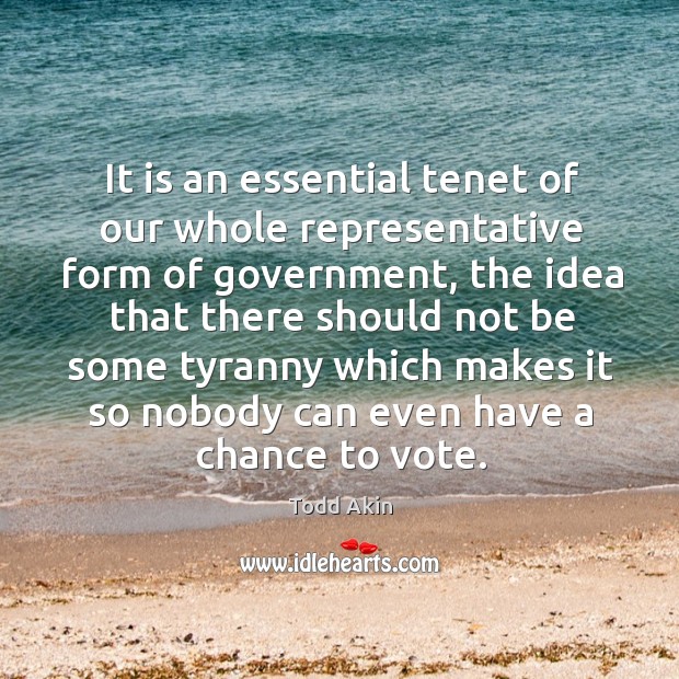 It is an essential tenet of our whole representative form of government, the idea that Image