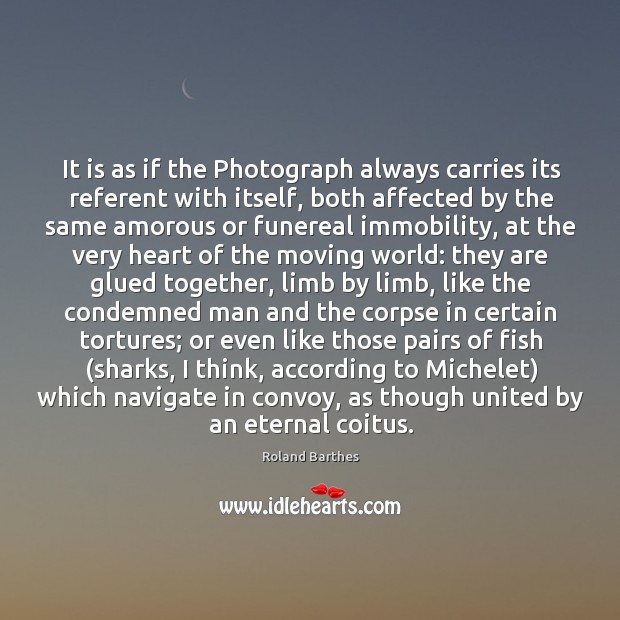 It is as if the Photograph always carries its referent with itself, Image