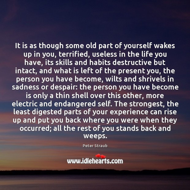 It is as though some old part of yourself wakes up in Peter Straub Picture Quote