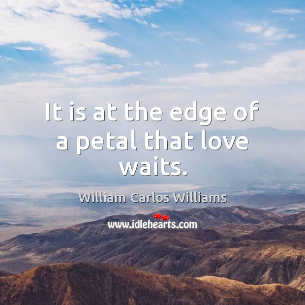 It is at the edge of a petal that love waits. William Carlos Williams Picture Quote