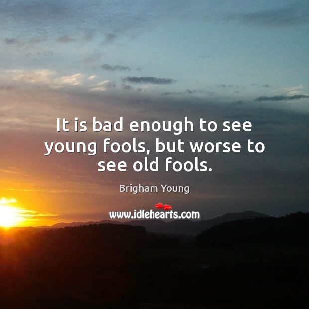 It is bad enough to see young fools, but worse to see old fools. Brigham Young Picture Quote