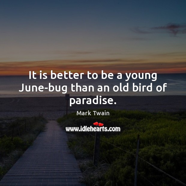 It is better to be a young June-bug than an old bird of paradise. Image