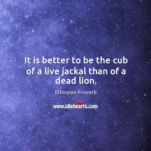 It is better to be the cub of a live jackal than of a dead lion. Ethiopian Proverbs Image