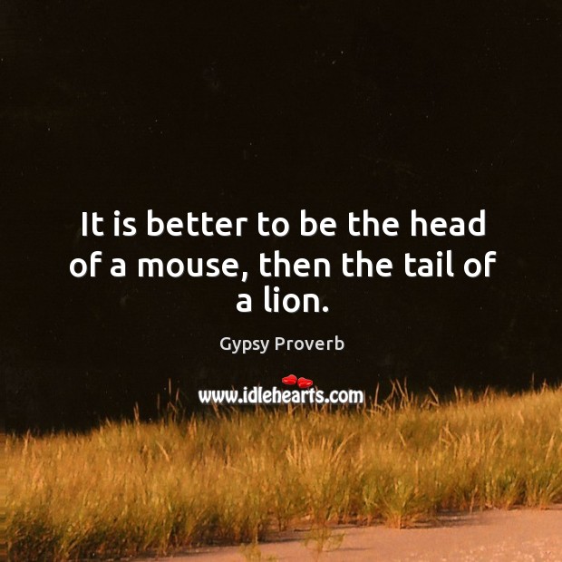 It is better to be the head of a mouse, then the tail of a lion. Gypsy Proverbs Image