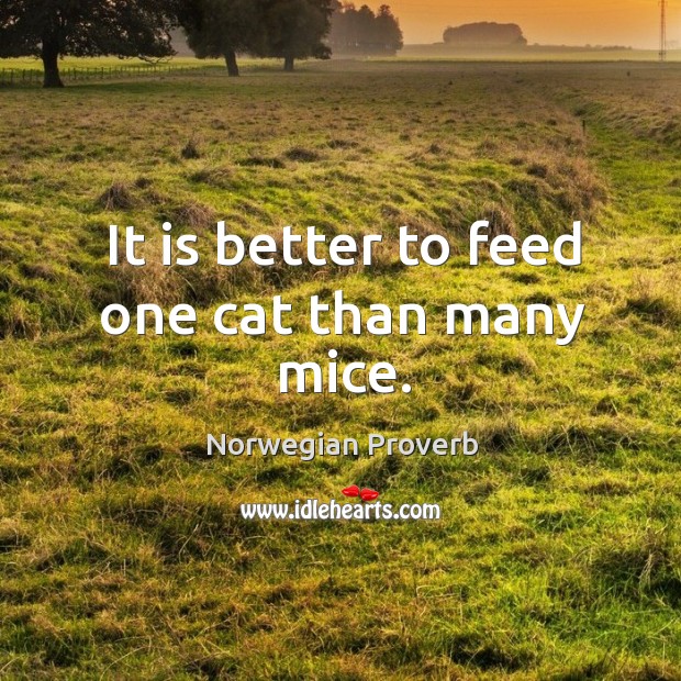 It is better to feed one cat than many mice. Norwegian Proverbs Image