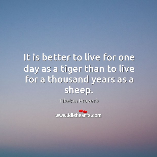 It is better to live for one day as a tiger than to live for a thousand years as a sheep. Tibetan Proverbs Image