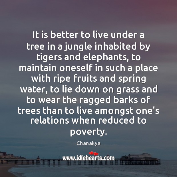 It is better to live under a tree in a jungle inhabited Chanakya Picture Quote