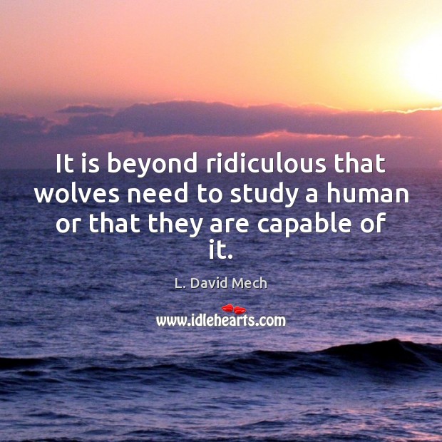 It is beyond ridiculous that wolves need to study a human or that they are capable of it. L. David Mech Picture Quote