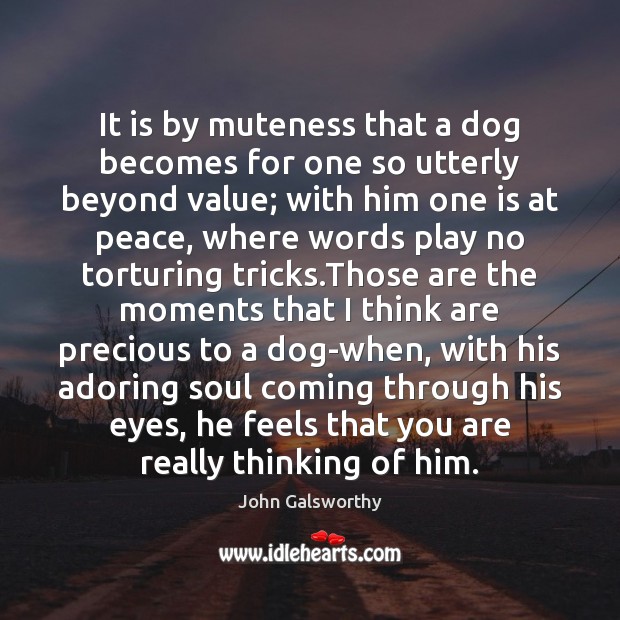 It is by muteness that a dog becomes for one so utterly John Galsworthy Picture Quote