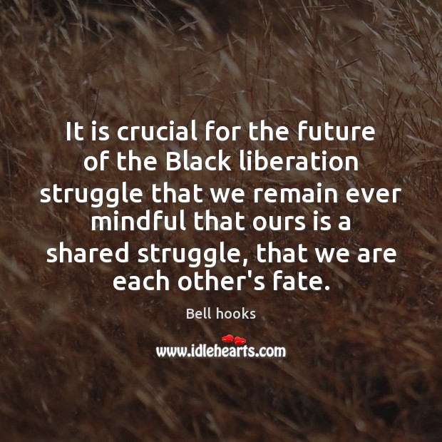 It is crucial for the future of the Black liberation struggle that Bell hooks Picture Quote