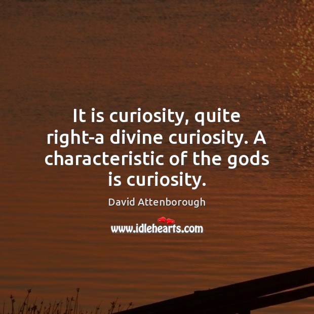 It is curiosity, quite right-a divine curiosity. A characteristic of the Gods David Attenborough Picture Quote