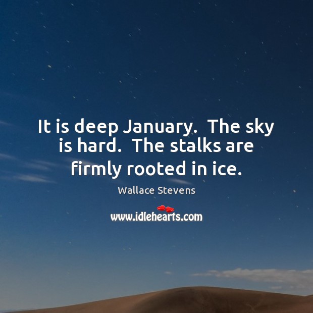It is deep January.  The sky is hard.  The stalks are firmly rooted in ice. Wallace Stevens Picture Quote