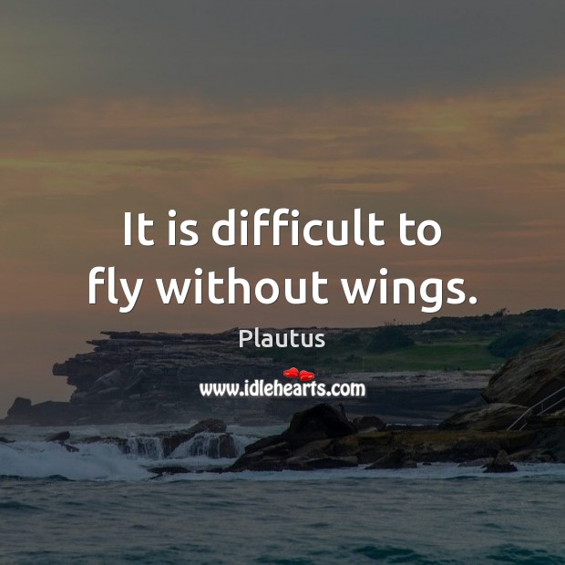It is difficult to fly without wings. Plautus Picture Quote