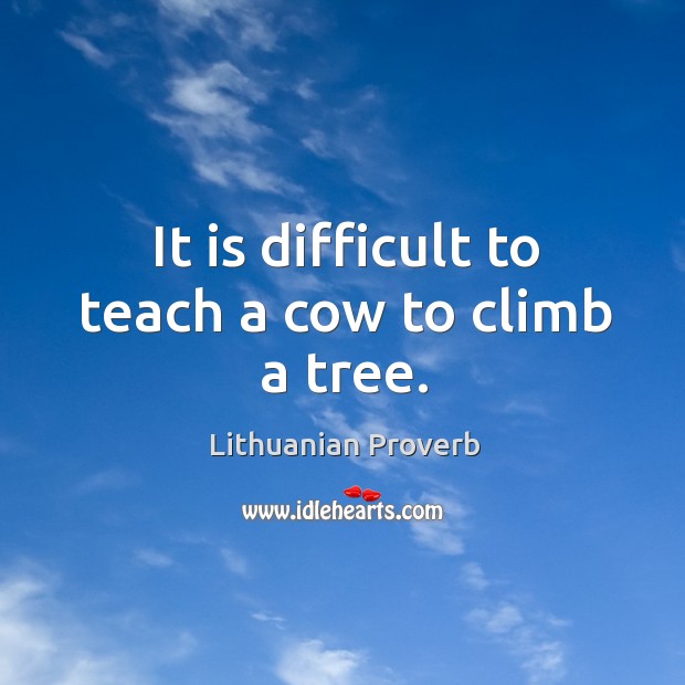 It is difficult to teach a cow to climb a tree. Lithuanian Proverbs Image