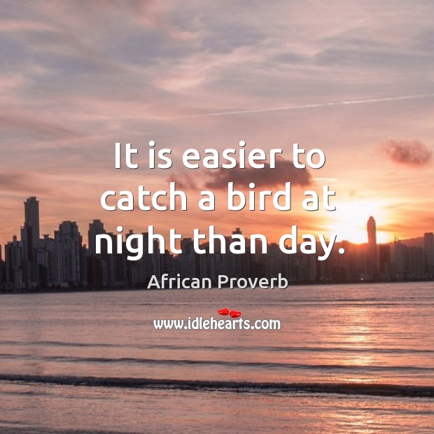 It is easier to catch a bird at night than day. Image