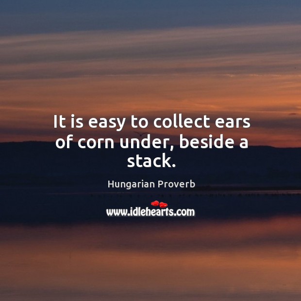 It is easy to collect ears of corn under, beside a stack. Image
