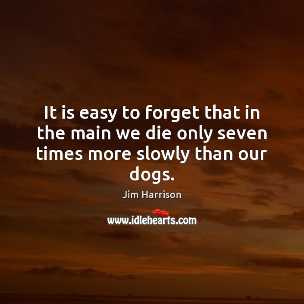It is easy to forget that in the main we die only seven times more slowly than our dogs. Jim Harrison Picture Quote