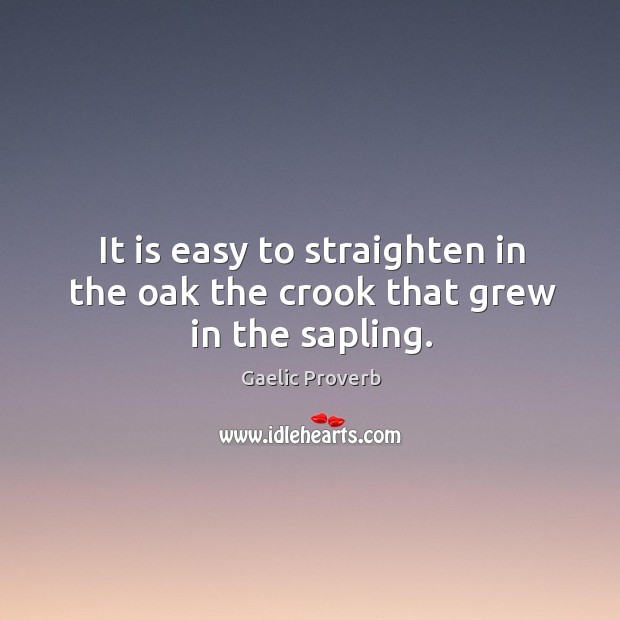 It is easy to straighten in the oak the crook that grew in the sapling. Gaelic Proverbs Image