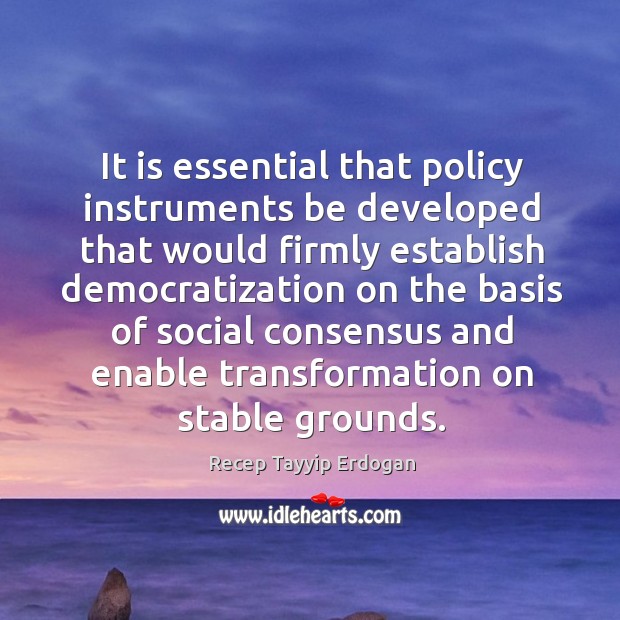 It is essential that policy instruments be developed that would firmly establish democratization Image