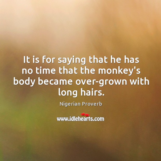 It is for saying that he has no time that the monkey’s body became over-grown with long hairs. Nigerian Proverbs Image