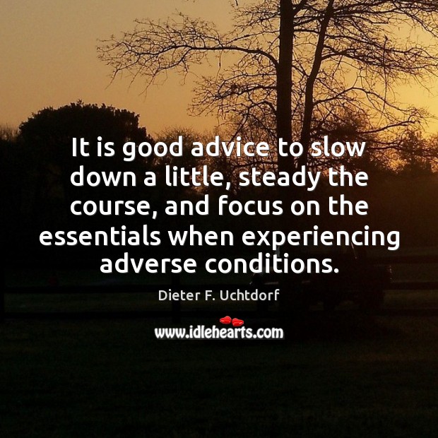 It is good advice to slow down a little, steady the course, Dieter F. Uchtdorf Picture Quote