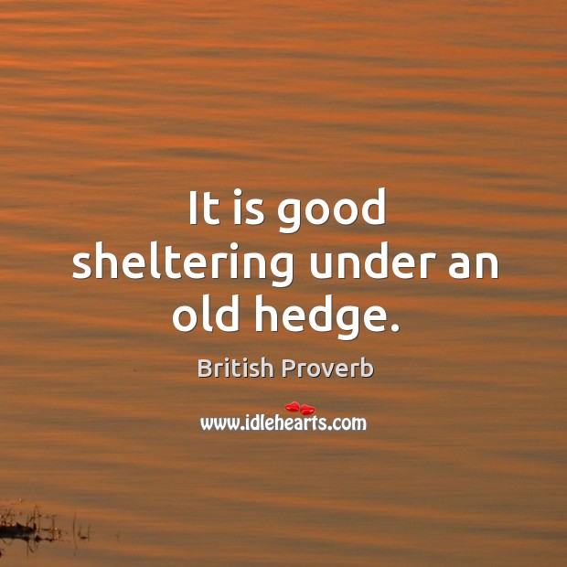 It is good sheltering under an old hedge. British Proverbs Image
