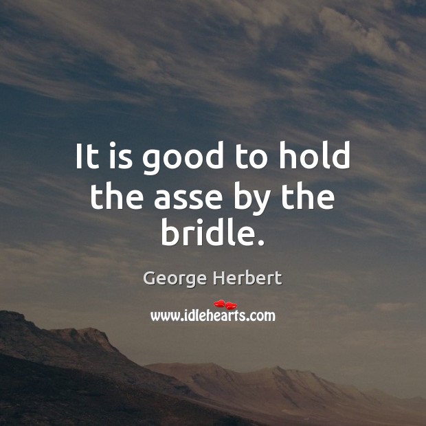 It is good to hold the asse by the bridle. George Herbert Picture Quote