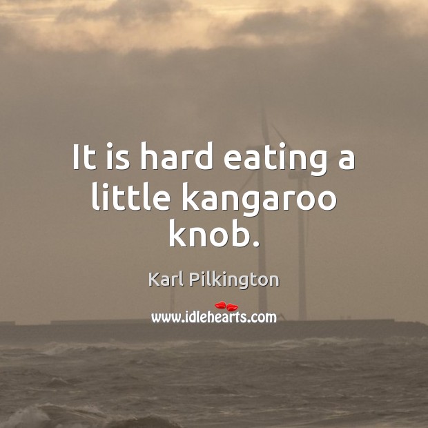 It is hard eating a little kangaroo knob. Karl Pilkington Picture Quote