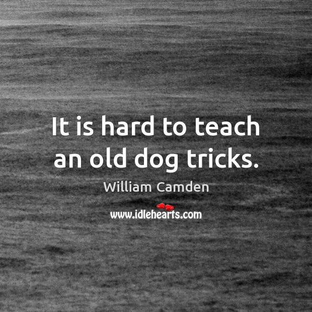 It is hard to teach an old dog tricks. William Camden Picture Quote