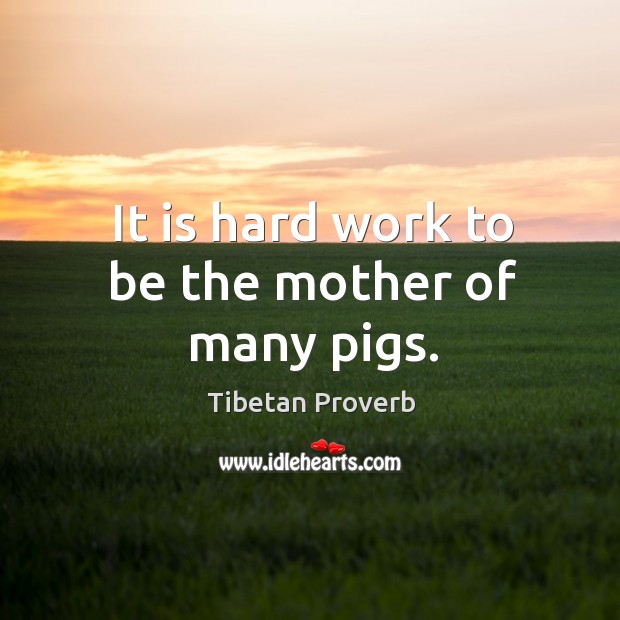 It is hard work to be the mother of many pigs. Tibetan Proverbs Image