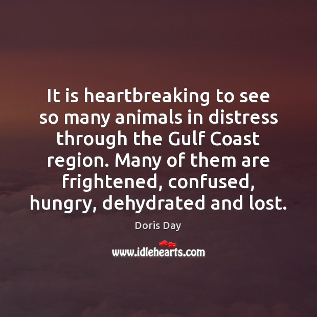 It is heartbreaking to see so many animals in distress through the Doris Day Picture Quote