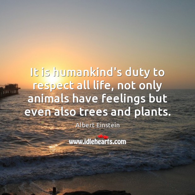 It is humankind’s duty to respect all life, not only animals have Image