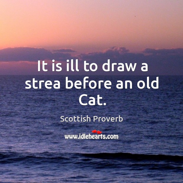 It is ill to draw a strea before an old cat. Scottish Proverbs Image