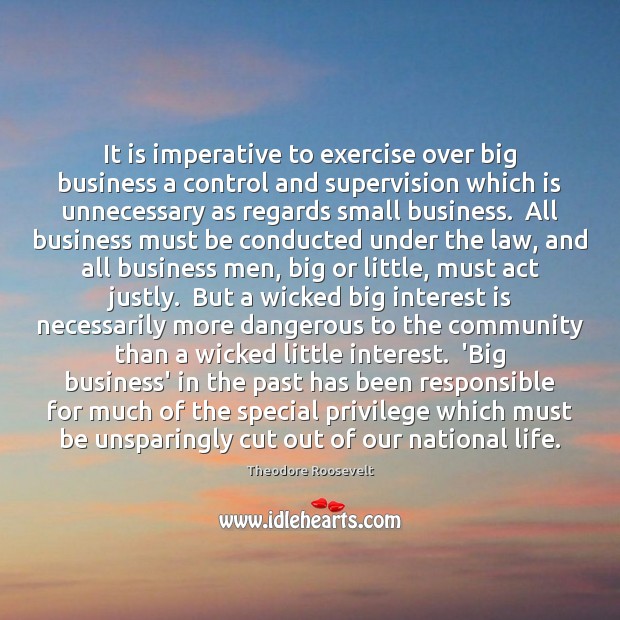 It is imperative to exercise over big business a control and supervision Business Quotes Image