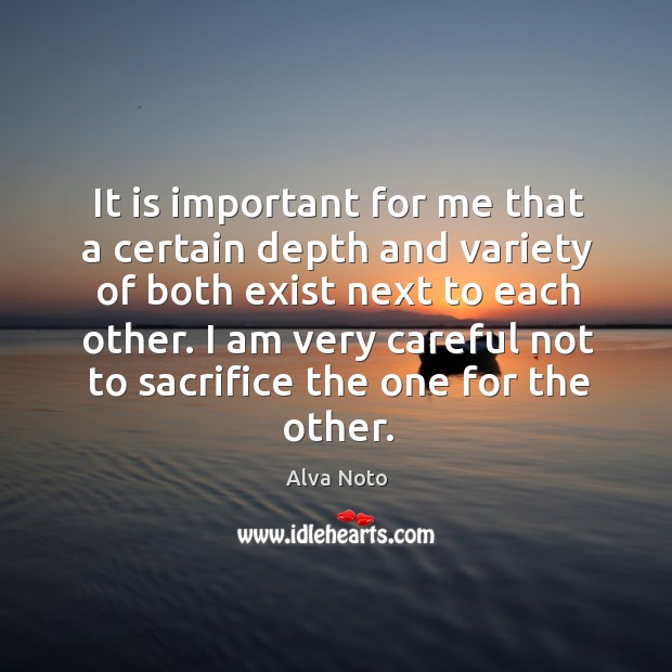 It is important for me that a certain depth and variety of both exist next to each other. Alva Noto Picture Quote