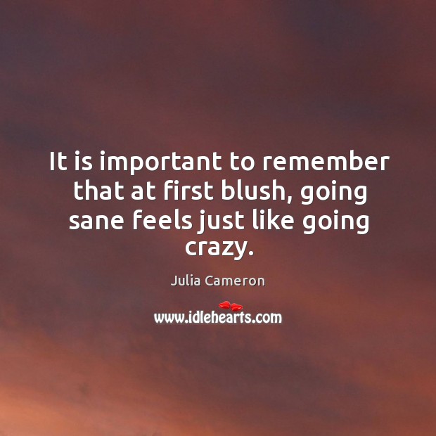 It is important to remember that at first blush, going sane feels just like going crazy. Julia Cameron Picture Quote