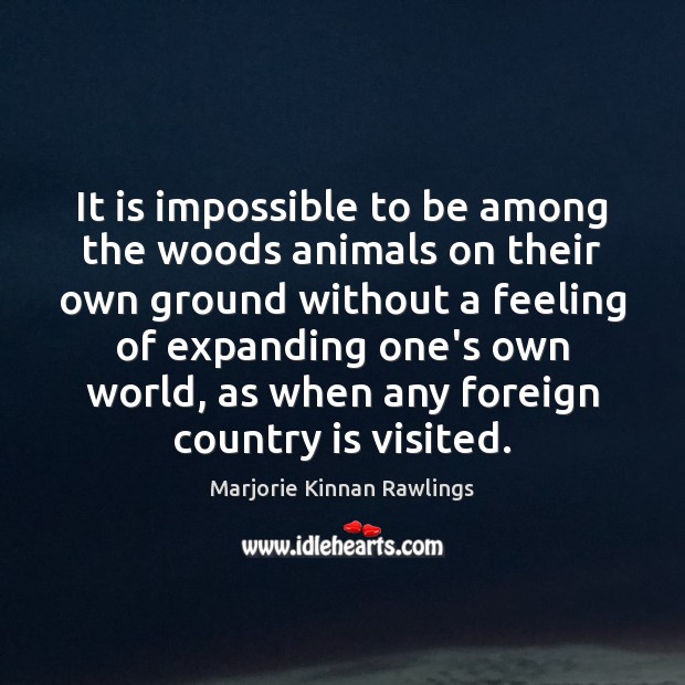 It is impossible to be among the woods animals on their own Marjorie Kinnan Rawlings Picture Quote