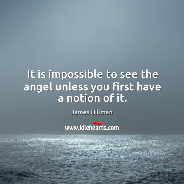 It is impossible to see the angel unless you first have a notion of it. James Hillman Picture Quote
