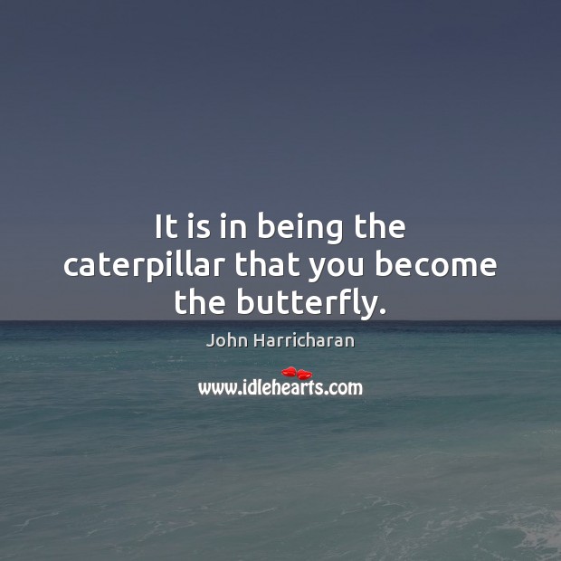 It is in being the caterpillar that you become the butterfly. John Harricharan Picture Quote
